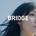 美容業界専門広告代理店「BRIDGE」契約サロン成功事例